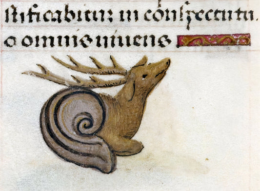 Top 10 Funniest Medieval Marginalia That Actually Exist