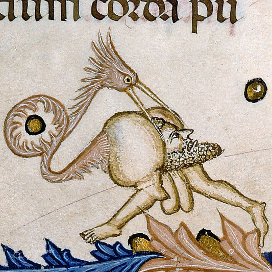 What Is Medieval Marginalia? The Weirdest Art You’ve Never Heard Of
