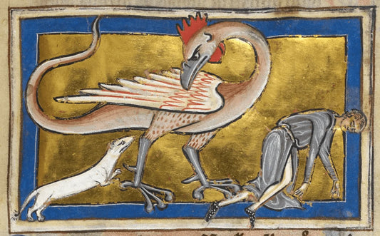 5 Weird and Wonderful Medieval Creatures That Belong on Your Phone Case
