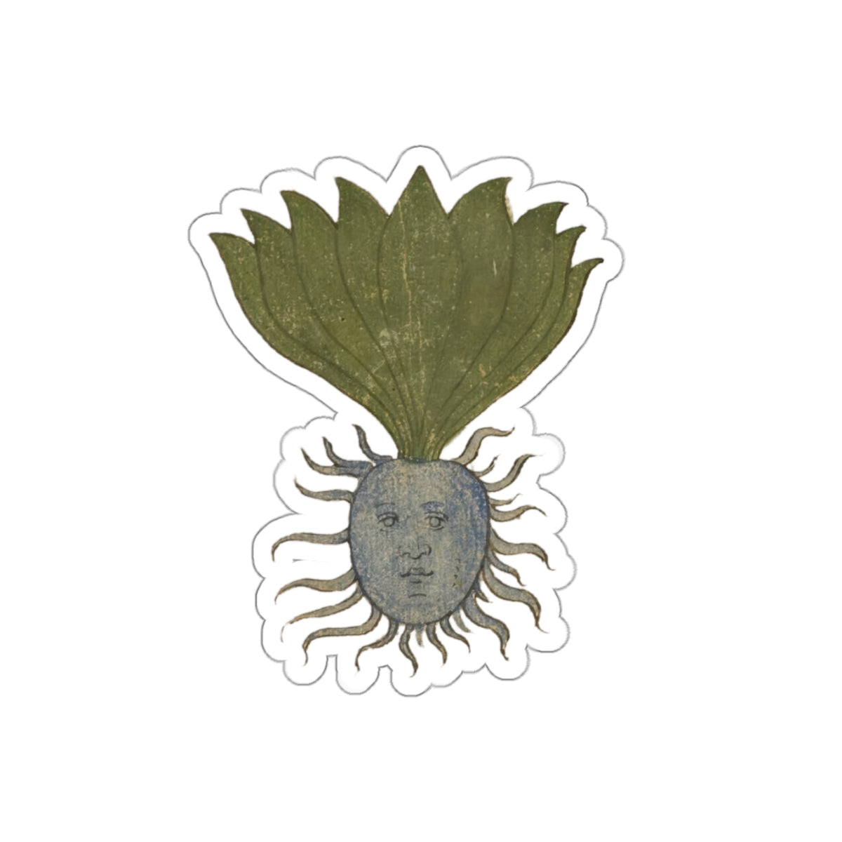 Mandrake Root Sticker – Medieval Marginalia Weird Plant Face, Botanical Occult Folklore Vinyl Sticker, Witchy Journal & Laptop Decor