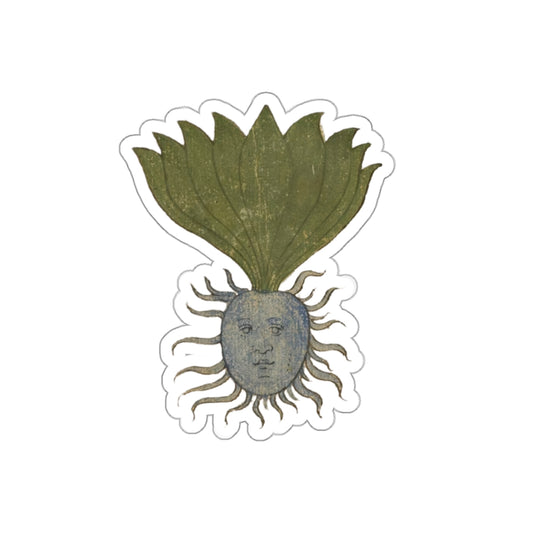 Mandrake Root Sticker – Medieval Marginalia Weird Plant Face, Botanical Occult Folklore Vinyl Sticker, Witchy Journal & Laptop Decor