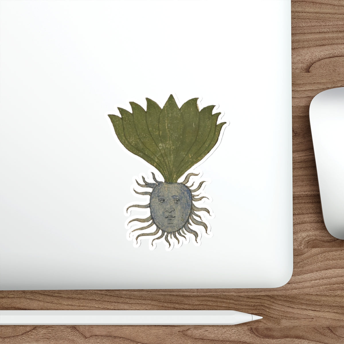 Mandrake Root Sticker – Medieval Marginalia Weird Plant Face, Botanical Occult Folklore Vinyl Sticker, Witchy Journal & Laptop Decor