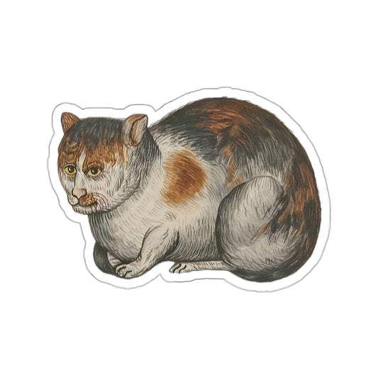Grumpy Medieval Cat – Marginalia Calico Sticker – Ill-Tempered Illuminated Cat Gift - Medieval Cat Die-Cut Stickers - Feline Monk Design for Cat Lovers and Overthinkers