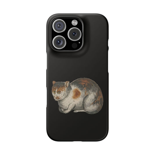 Grumpy Medieval Cat – Marginalia Calico Phone Case – Ill-Tempered Illuminated Cat Gift - Cat-Themed Snap Cases - Cute Cat Phone Cover - Animal Lover Gift - Pet Owner Accessory, Unique Phone Protector