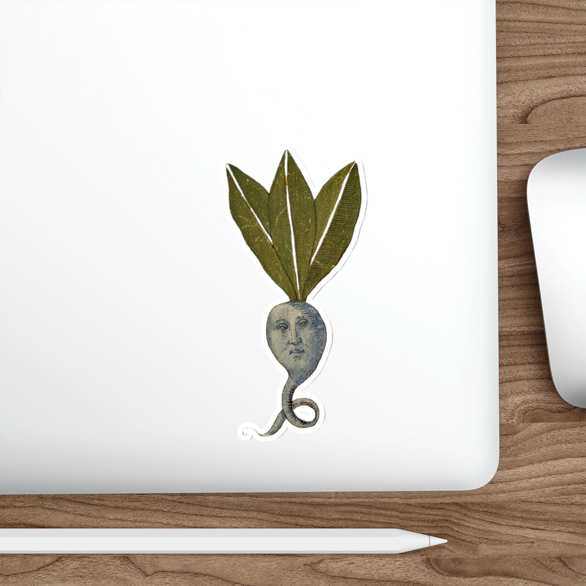 Mandrake Root Medieval Sticker – Weird Plant Spirit, Botanical Marginalia Art Decal, Witchy Folklore Vinyl Sticker, Alchemy Aesthetic Gift