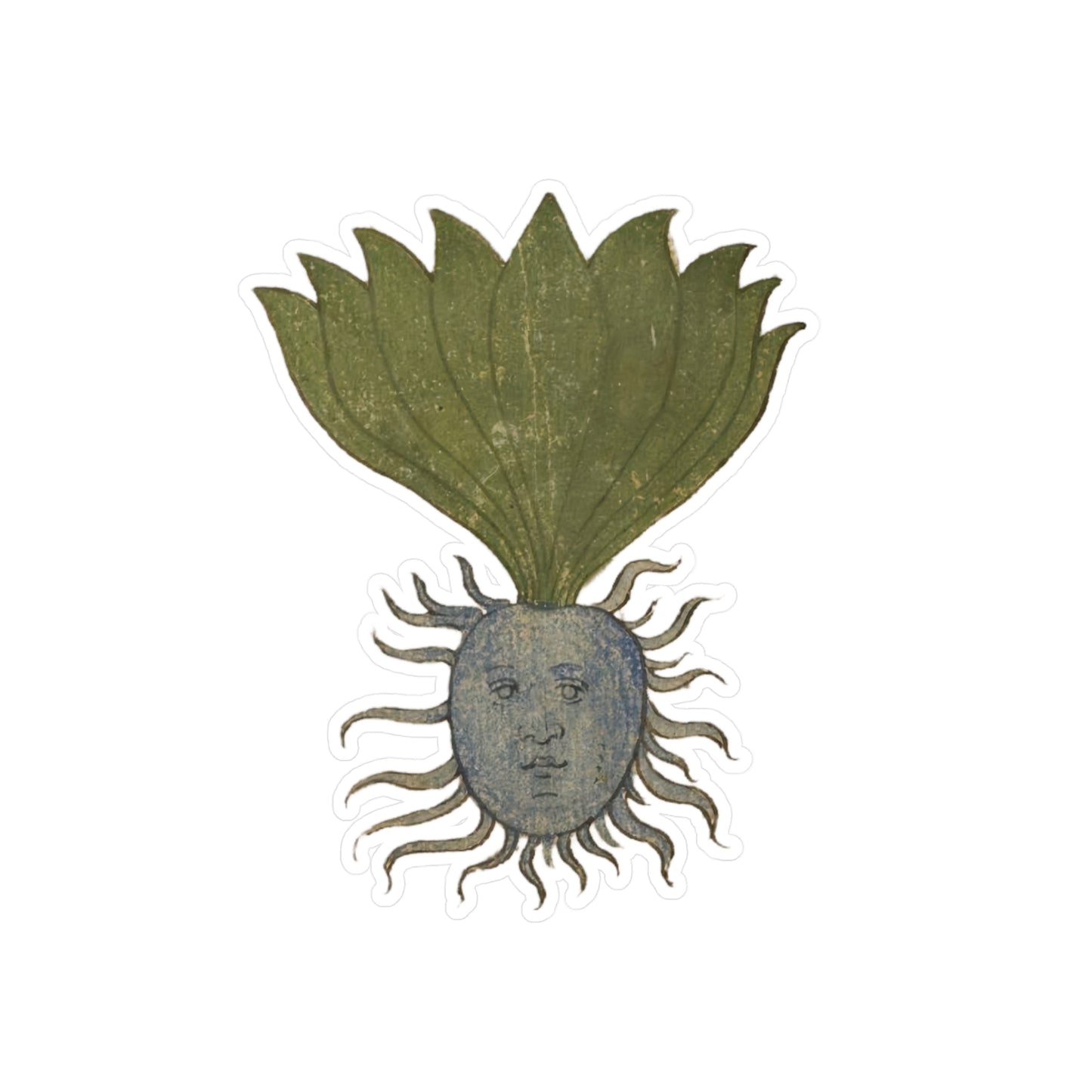 Mandrake Root Sticker – Medieval Marginalia Weird Plant Face, Botanical Occult Folklore Vinyl Sticker, Witchy Journal & Laptop Decor