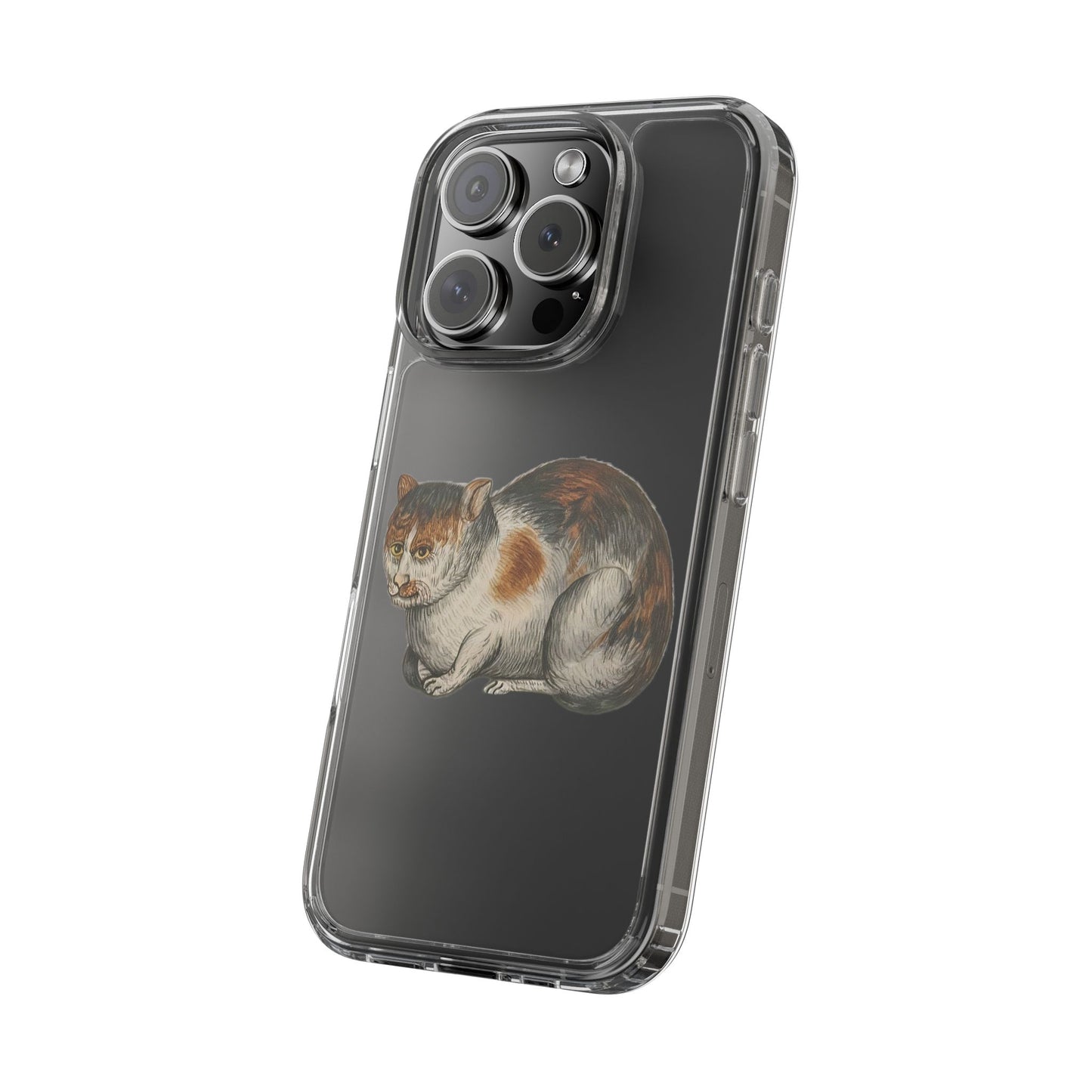 Grumpy Medieval Cat – Marginalia Calico Phone Case – Ill-Tempered Illuminated Cat Gift