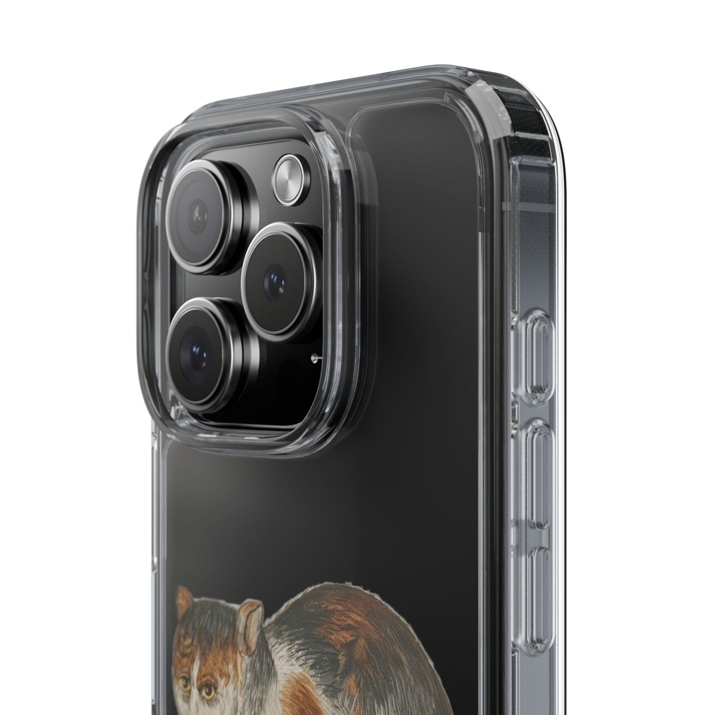 Grumpy Medieval Cat – Marginalia Calico Phone Case – Ill-Tempered Illuminated Cat Gift