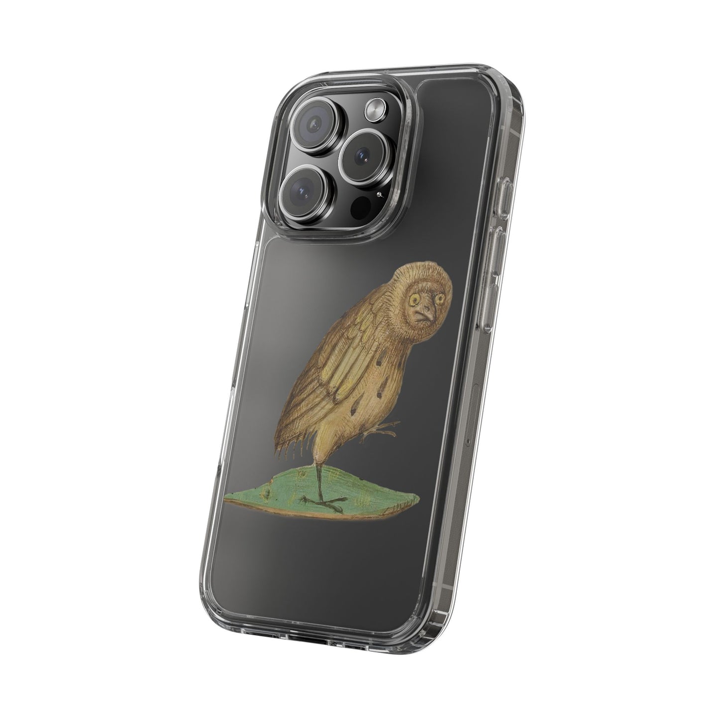 Confused Medieval Owl Phone Case – Funny Gothic Art iPhone & Samsung Cover