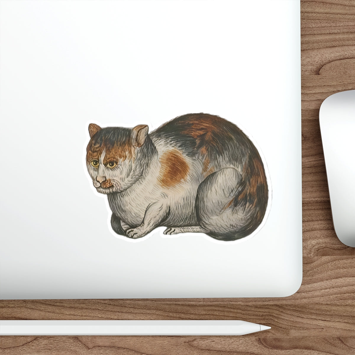 Grumpy Medieval Cat – Marginalia Calico Sticker – Ill-Tempered Illuminated Cat Gift - Medieval Cat Die-Cut Stickers - Feline Monk Design for Cat Lovers and Overthinkers